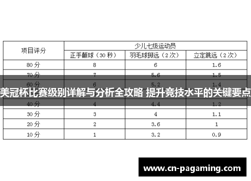美冠杯比赛级别详解与分析全攻略 提升竞技水平的关键要点