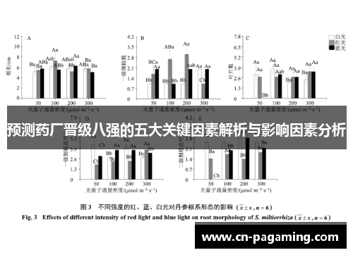 预测药厂晋级八强的五大关键因素解析与影响因素分析