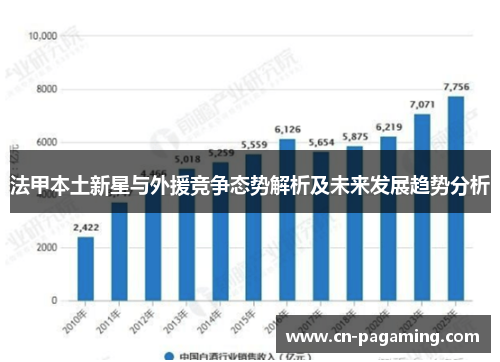 法甲本土新星与外援竞争态势解析及未来发展趋势分析