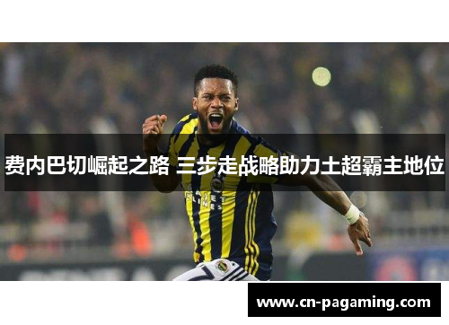 费内巴切崛起之路 三步走战略助力土超霸主地位