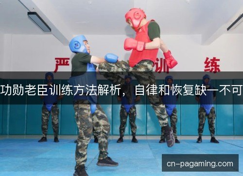 功勋老臣训练方法解析，自律和恢复缺一不可